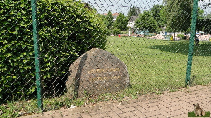 Ritterstein Nr. 272-4b Hochspeyerbach Ursprung im Bad.JPG - Ritterstein Nr.272 Hochspeyerbach Ursprung im Bad